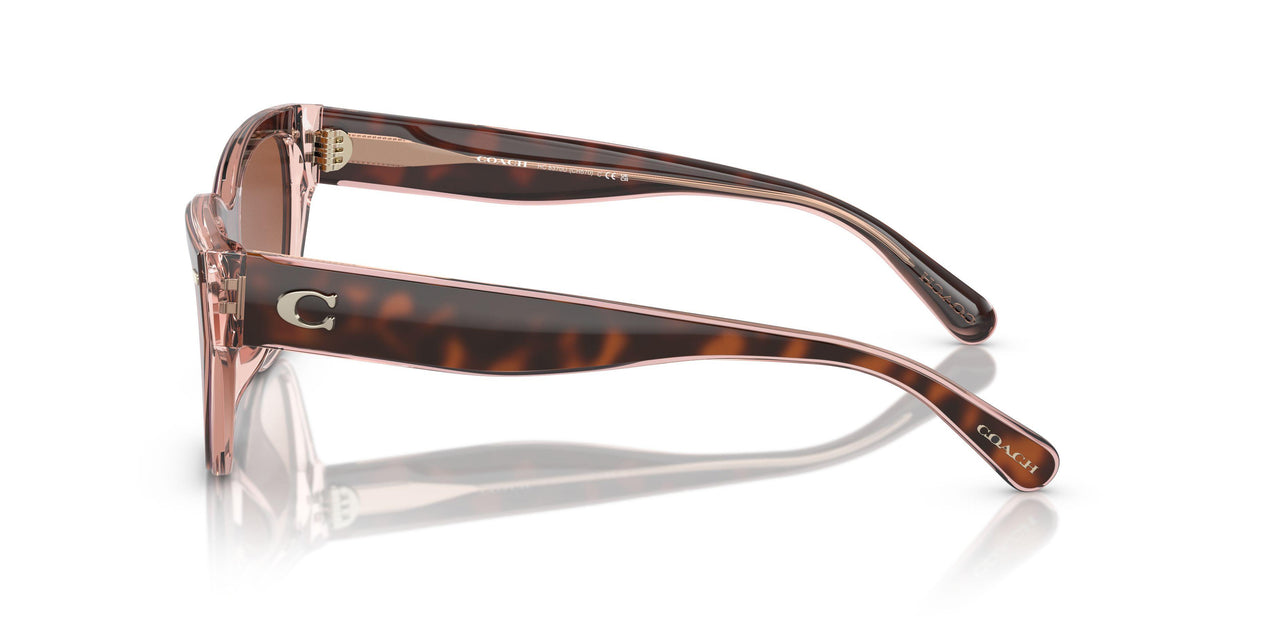 574413 - Tortoise - Brown Pink Gradient