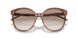 307113 - Light Brown - Clear Gradient Brown