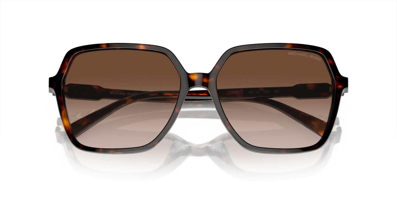 300613 - Tortoise - Brown Gradient