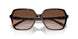 300613 - Tortoise - Brown Gradient