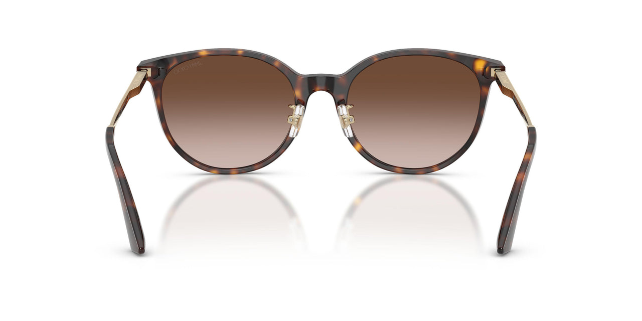 500213 - Tortoise - Gradient Brown