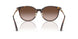 500213 - Tortoise - Gradient Brown