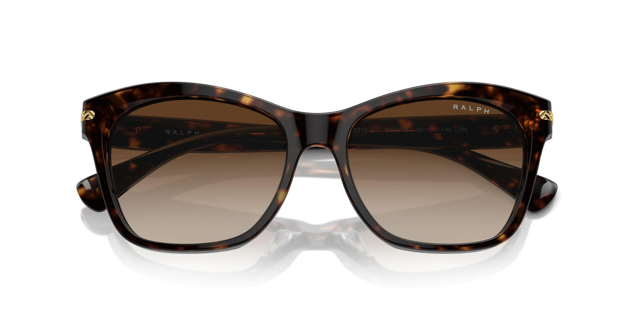 500313 - Brown - Gradient Brown