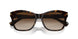 500313 - Brown - Gradient Brown