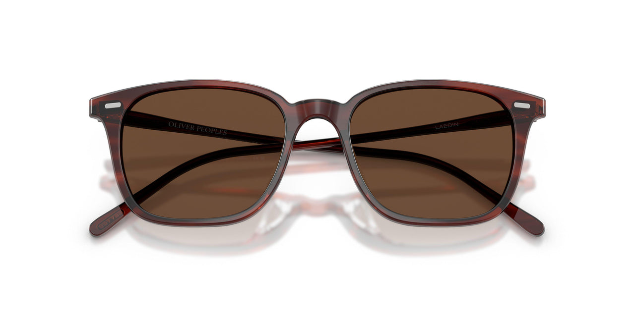 1818AN - Brown - Terra Polarized
