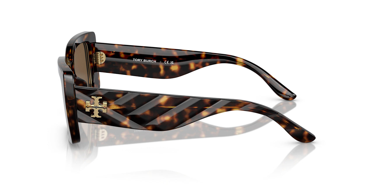 172873 - Tortoise - Dark Brown