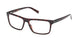Timberland 50076 Eyeglasses