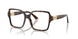 5002 - Tortoise