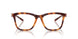 2003 - Tortoise