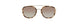 TPT - Taupe Tortoise [TPT]