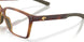 803102 - Tortoise