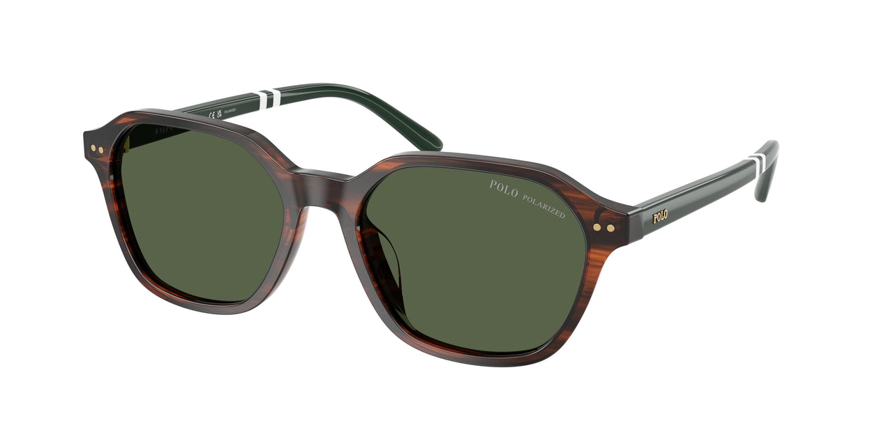 63159A - Tortoise - Polar Green