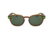 04 - BROWN VERDE