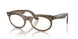 8294 - Light Brown - Clear