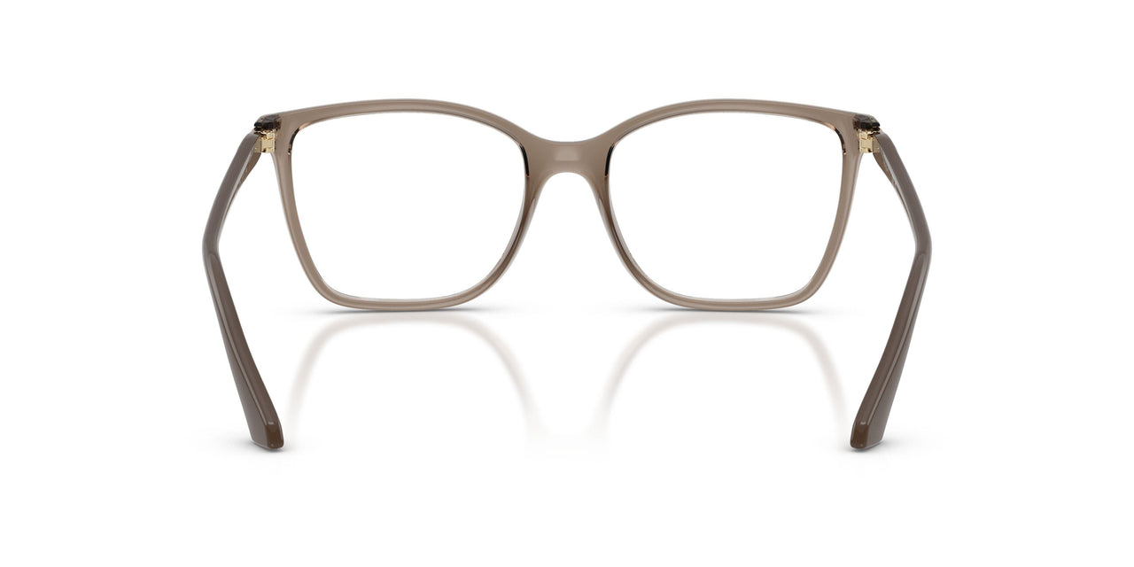 3156 - Brown
