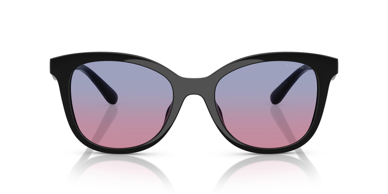 500218 - Black - Blue Purple Gradient