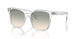 19842C - Transparent - Light Brown Gradient Light Grey