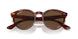 954/AN - Brown - Brown