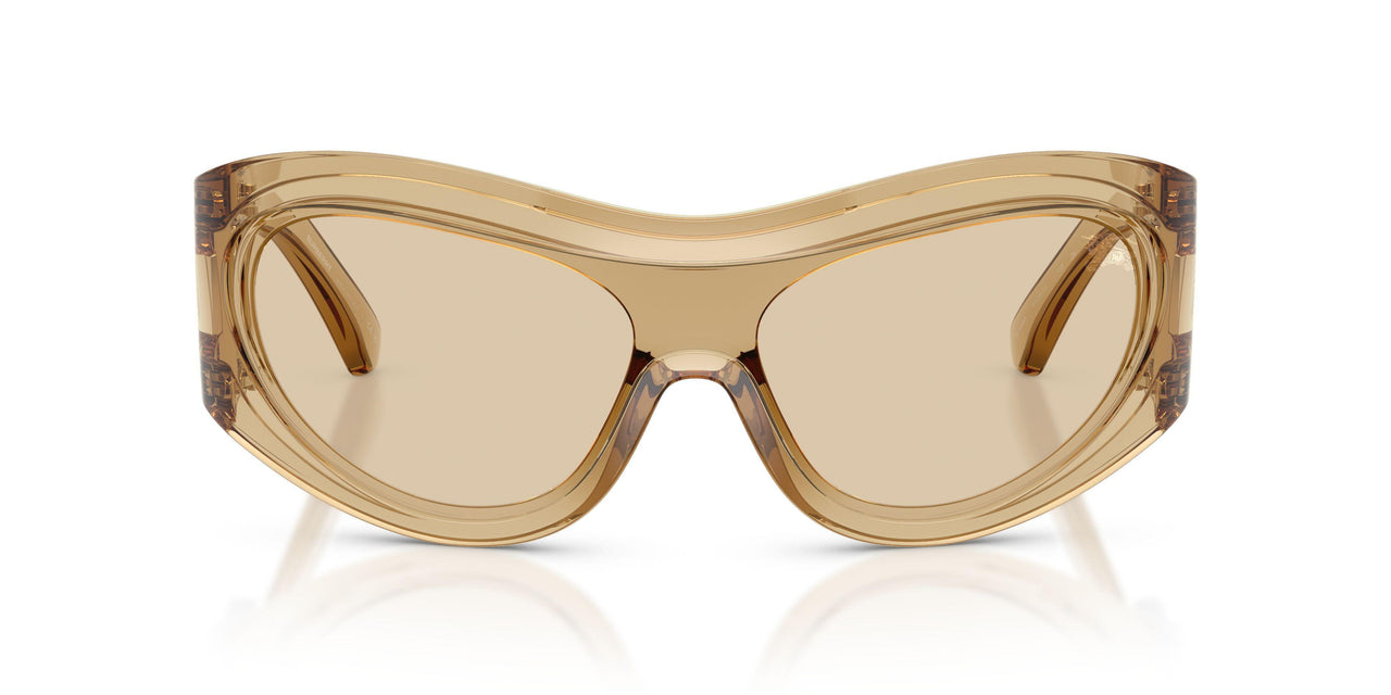 412373 - Brown - Light Brown