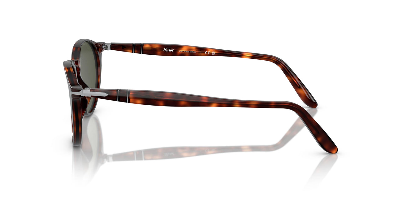 901531 - Tortoise - Green