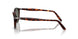 901531 - Tortoise - Green