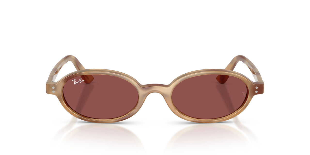 685675 - Tortoise - Dark Violet
