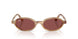 685675 - Tortoise - Dark Violet
