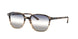 Ray-Ban Leonard 2193 Sunglasses