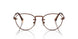 1123 - Brown
