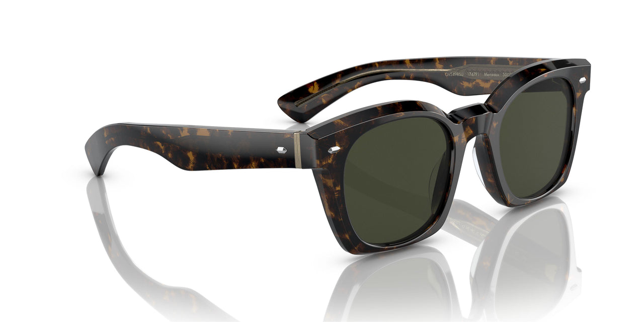 1747P1 - Tortoise - G-15 Polarized