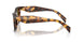 14L09Z - Tortoise - Dark Brown