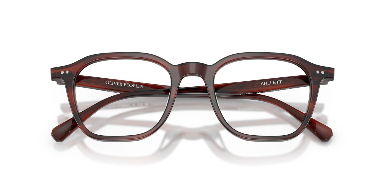 1818 - Morado Tortoise