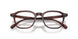 1818 - Morado Tortoise