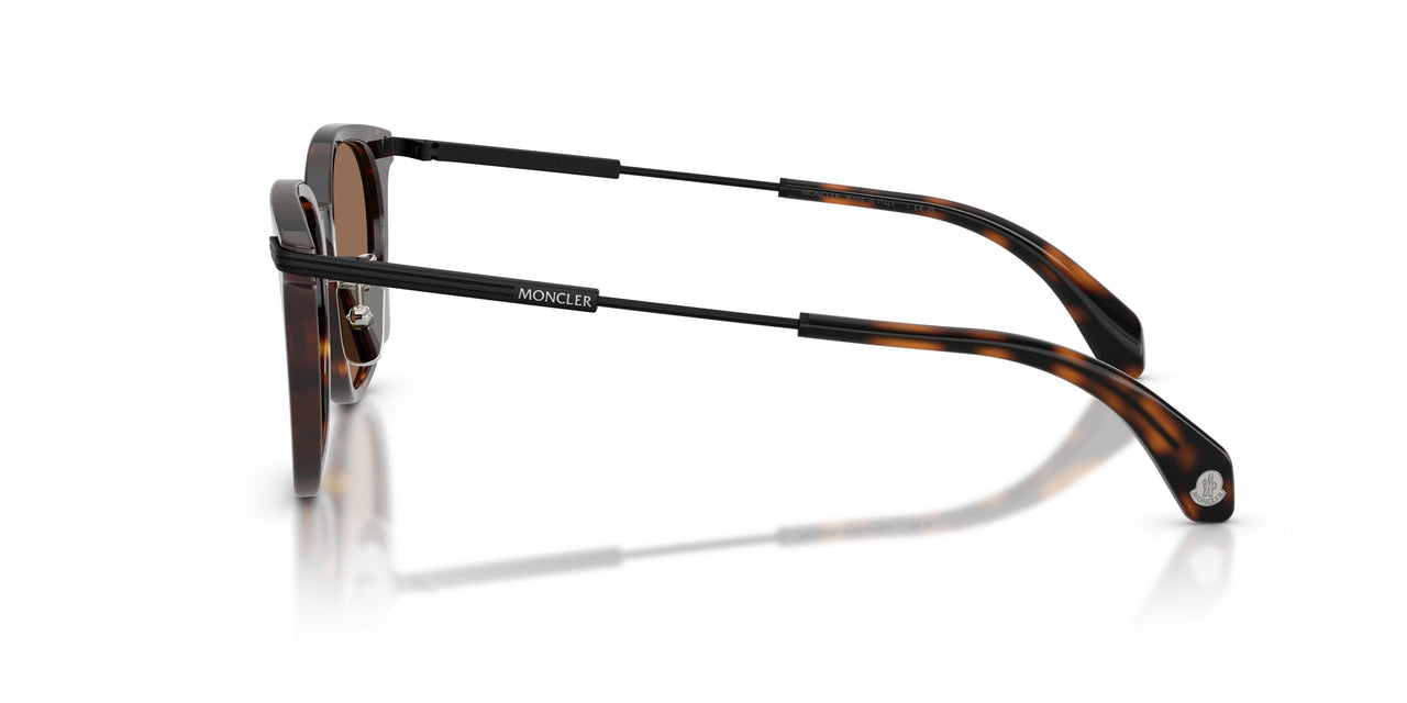 300273 - Tortoise - Solid Brown