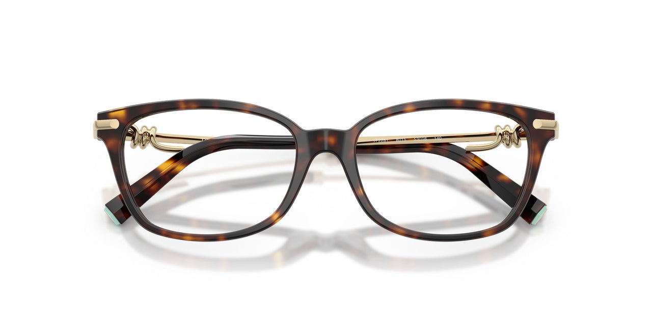 8015 - Tortoise