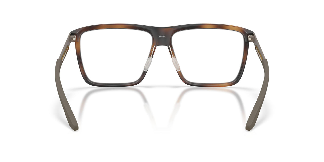 802904 - Tortoise