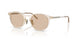 300393 - Clear - Solid Light Brown