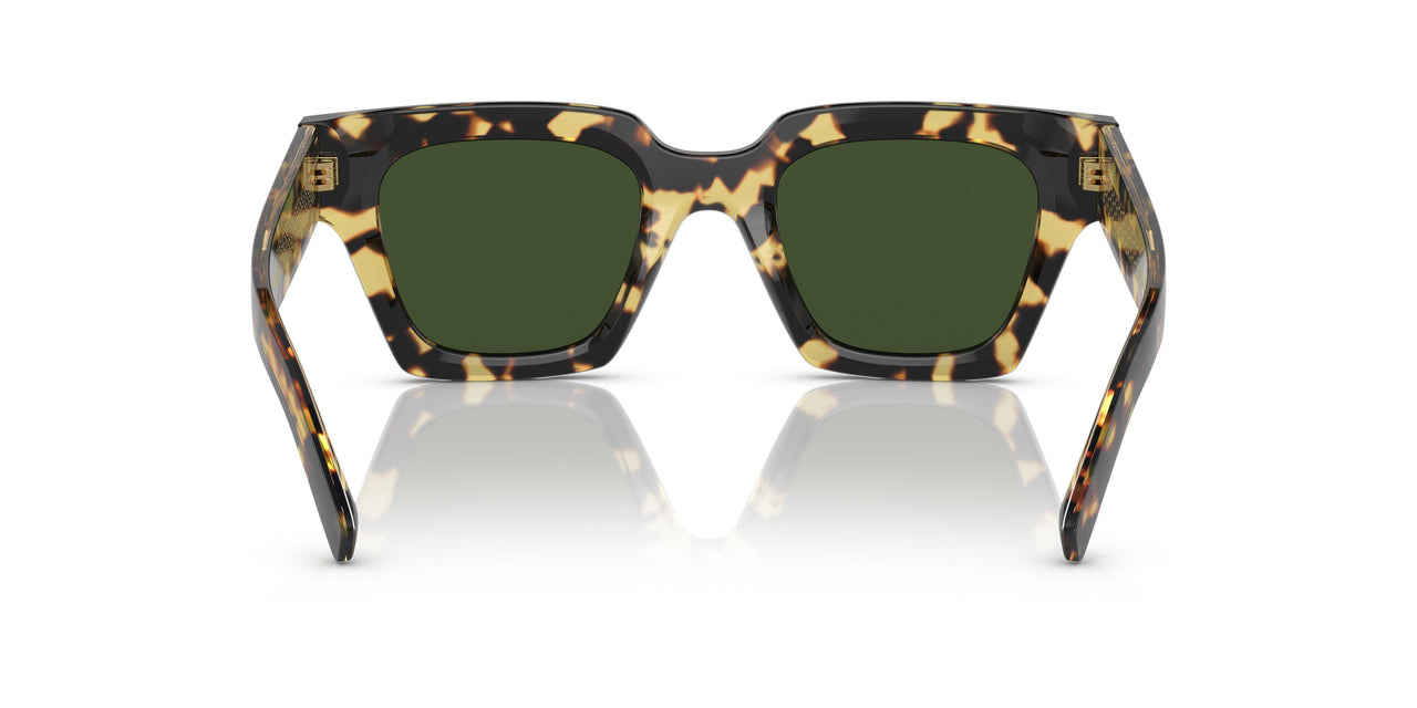 337552 - Havana - Green