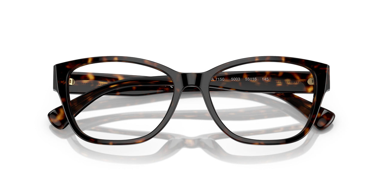 5003 - Brown