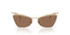300673 - Gold - Dark Brown