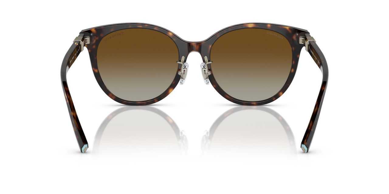 8015T5 - Tortoise - Polar Brown Gradient