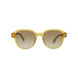 39F - Shiny Transparent Ochre - Brown with Gunmetal Flash