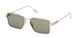 ZEGNA 0243 Sunglasses