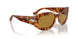 106/53 - Tortoise - Brown