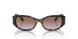 W65668 - Brown - Violet Gradient Brown