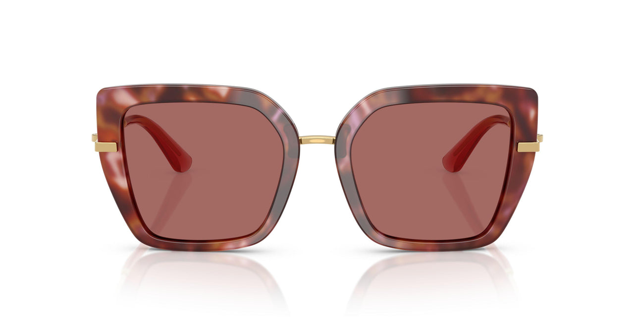 344469 - Tortoise - Dark Violet