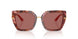 344469 - Tortoise - Dark Violet