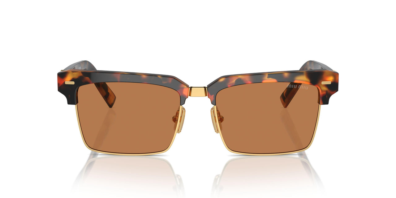 19P2Z1 - Tortoise - Brown