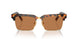 19P2Z1 - Tortoise - Brown