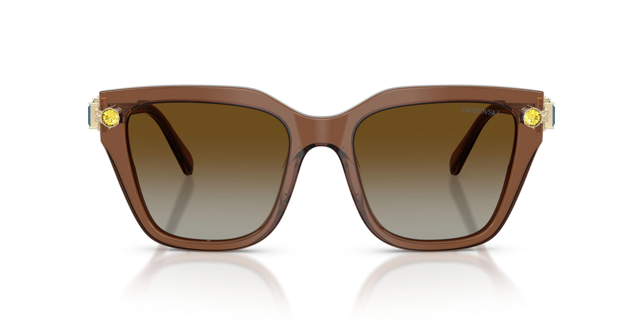 1067T5 - Brown - Gradient Brown Polar